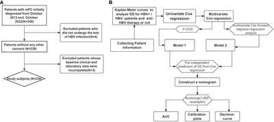 Nomogram for predicting overall survival of metastatic pancreatic cancer patients based on HBV infection and inflammatory-nutritional biomarkers